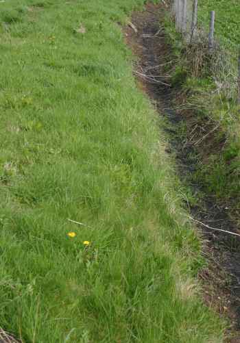 a typical field drainage ditch